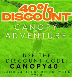 canopy40