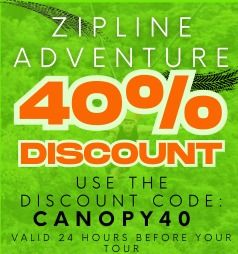 zipline40