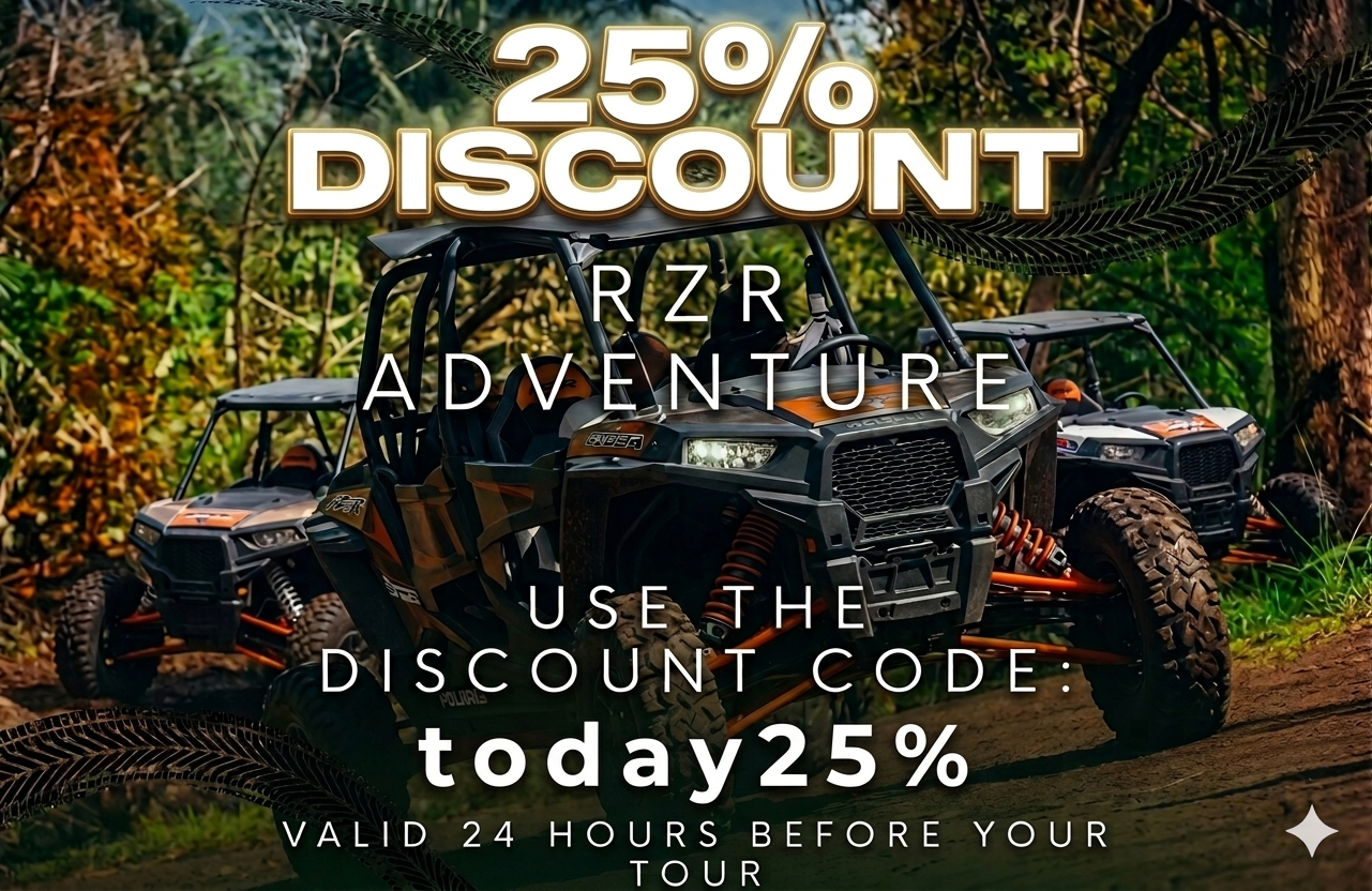 Rzr-today25%