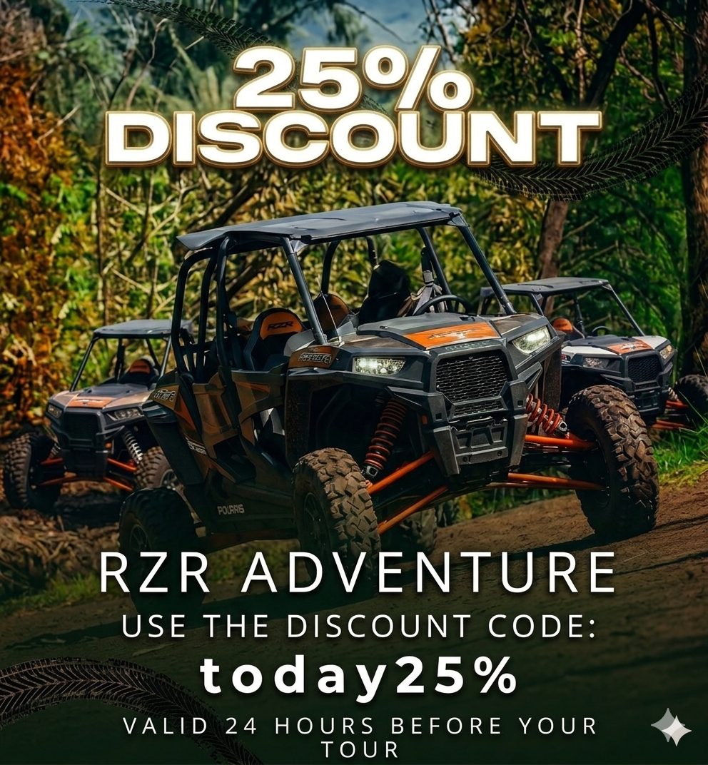 rzrhome238x254