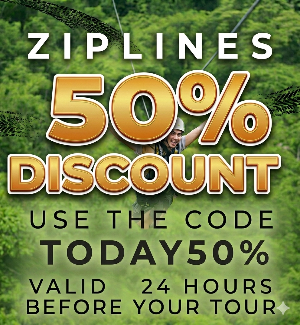 zipline 238x254