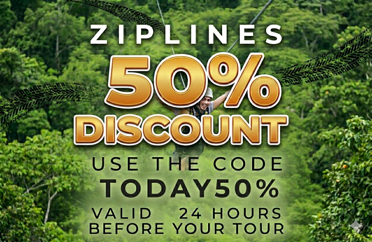 ziplines 1281x832